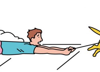 How to be sure that afternoon jog is as good for your dog as it is for you Running with your dog