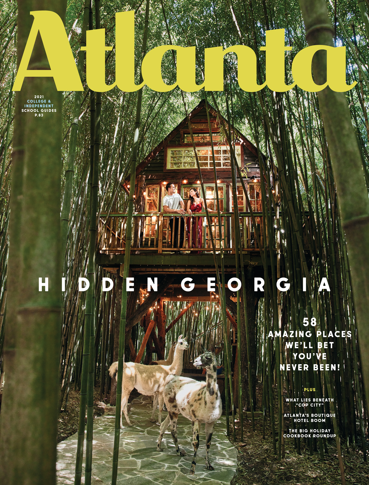 November 2021 Cover Hidden Georgia November 2021 Cover Hidden Georgia