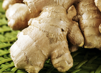 Ginger? Snap! Here’s how to grow it easily in Georgia Growing ginger in Georgia
