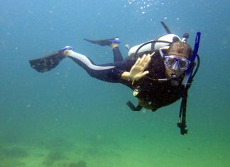 Tara Roberts Into the Depths