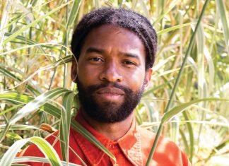 How Eric Mack transformed his East Lake yard into one of Atlanta’s best pop-up plant shops Eric Mack