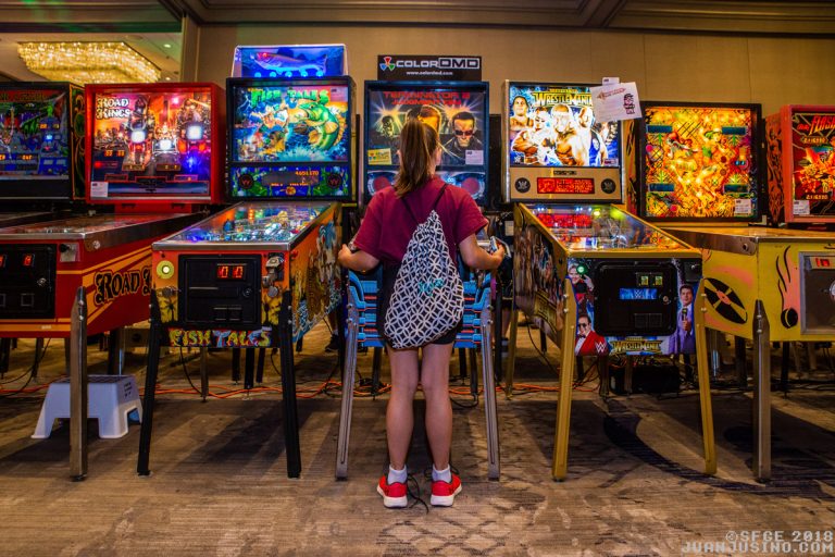 Southern Fried Gaming Expo