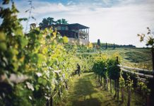 Three trips to take through Georgia’s wine country Three trips though Georgia wine country