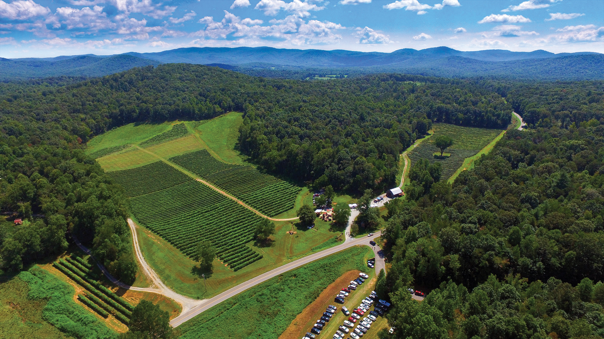 Three trips though Georgia wine country
