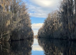 A bipartisan bill would ban future mining around Georgia’s Okefenokee Swamp Lawmakers are trying to ban mining around Georgia’s Okefenokee Swamp. Here’s what to know.