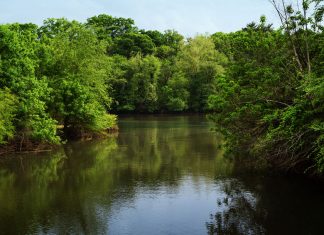 Chattahoochee River
