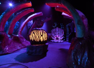5 Things to know before you visit The Little Mermaid experience at Camp
