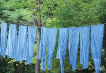 An indigo revival in the South