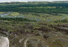 Emory’s Georgia Coast Atlas allows anyone to visit the barrier islands virtually Emory’s Georgia Coast Atlas allows anyone to visit the barrier islands virtually