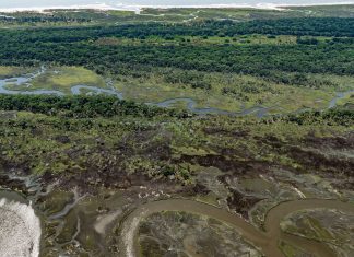 Emory’s Georgia Coast Atlas allows anyone to visit the barrier islands virtually Emory’s Georgia Coast Atlas allows anyone to visit the barrier islands virtually