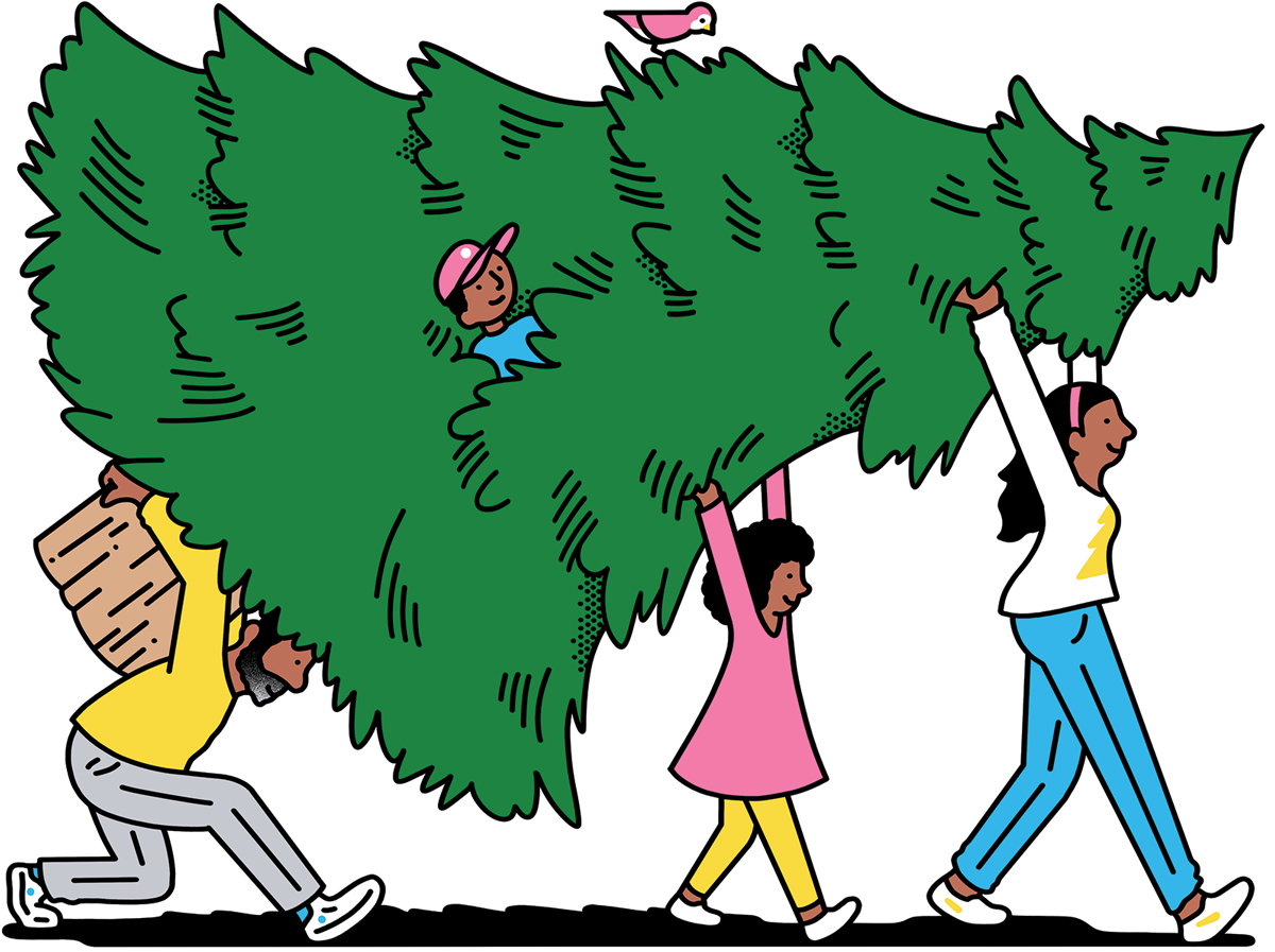 What life is like on a Stockbridge Christmas tree farm
