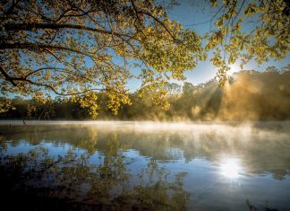 5 Reasons to love Vinings