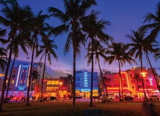 Miami by Night: Exploring the vibrancy of the city after dark