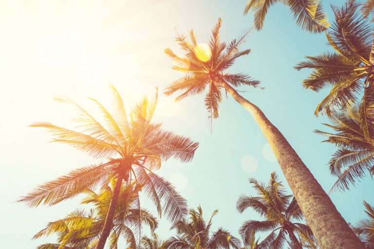 Tampa sizzles with outdoor options and fun festivals all winter long