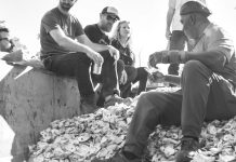 Oyster shells from Atlanta restaurants are helping save the Georgia coast Oyster shells from Atlanta restaurants are helping save the Georgia coast