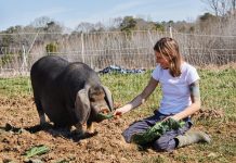 Ashley Rodgers expanded her farming business in an adorable (and tasty) way