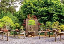 5 Reasons to love Kennesaw 5 Reasons to love Kennesaw