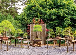 5 Reasons to love Kennesaw 5 Reasons to love Kennesaw