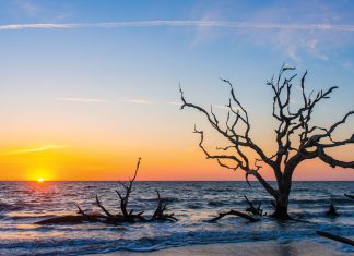 Essential Southern beach trips
