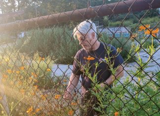 A love letter to Reid’s Seeds A love letter to Reid's Seeds