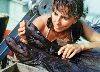 The Children’s Museum of Atlanta is teaching kids about women’s history, one daredevil at a time Ichthyologist Eugenie Clark