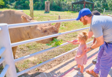 The Chehaw Park & Zoo