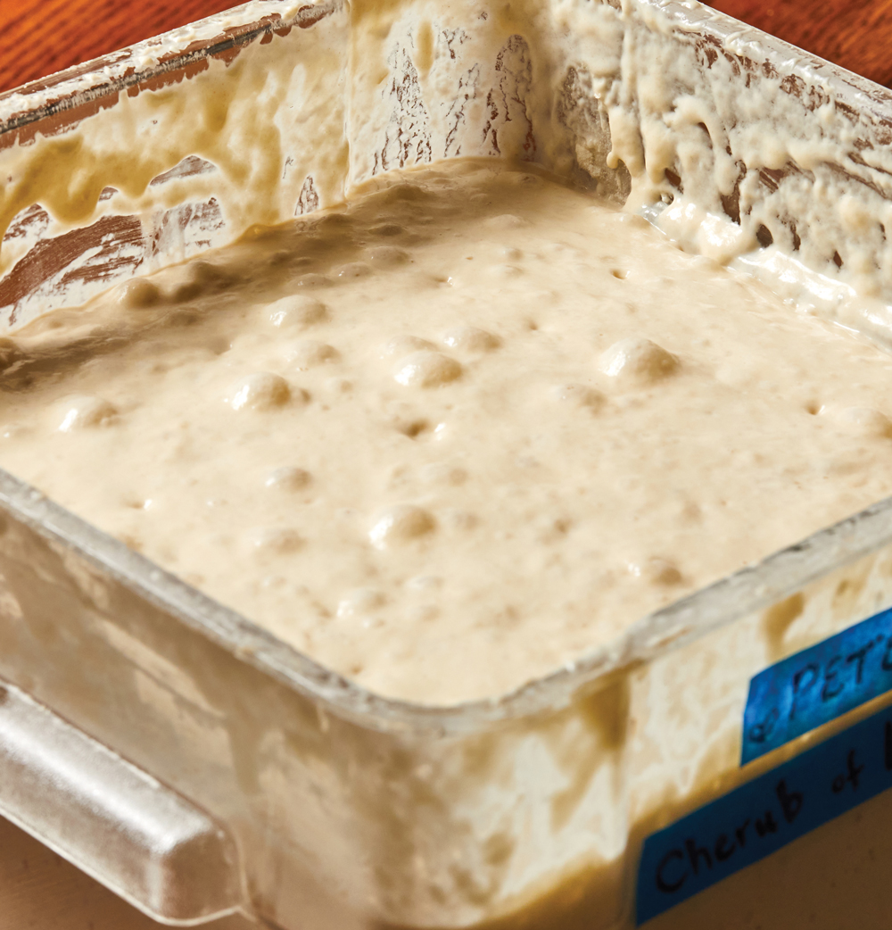 Bubbling sourdough batter