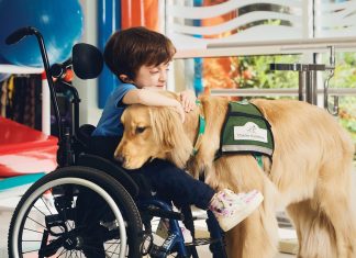 What life on the job is like for 6 of Atlanta’s working pets Dominic holds therapy dog, Queso, on his lap