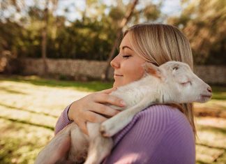 a woman holds a baby sheep in her arms