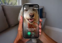“I got my life back”: How an Atlantan’s app is helping curb phone addiction A phone screen shows a dog's face along with green buttons labeled "dog" and "pet"