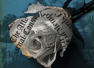A collage illustration of a rose with news paper pages as petals against a blue background