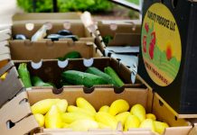 cardboard boxes filles with vegetables to distribute