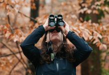 Birding is booming as Birds Georgia celebrates 100 years Birds Georgia member Abby Cox tracks local bird counts
