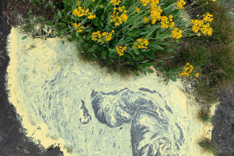 Spring pollen collecting in a pool of water at Arabia Mountain National Heritage Area
