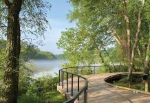 Trees and a lake surround a curved boardwalk on a blue sky day