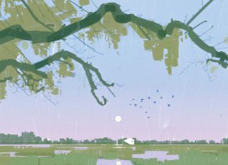 A writer returns to Pawleys Island in search of a way to begin life anew