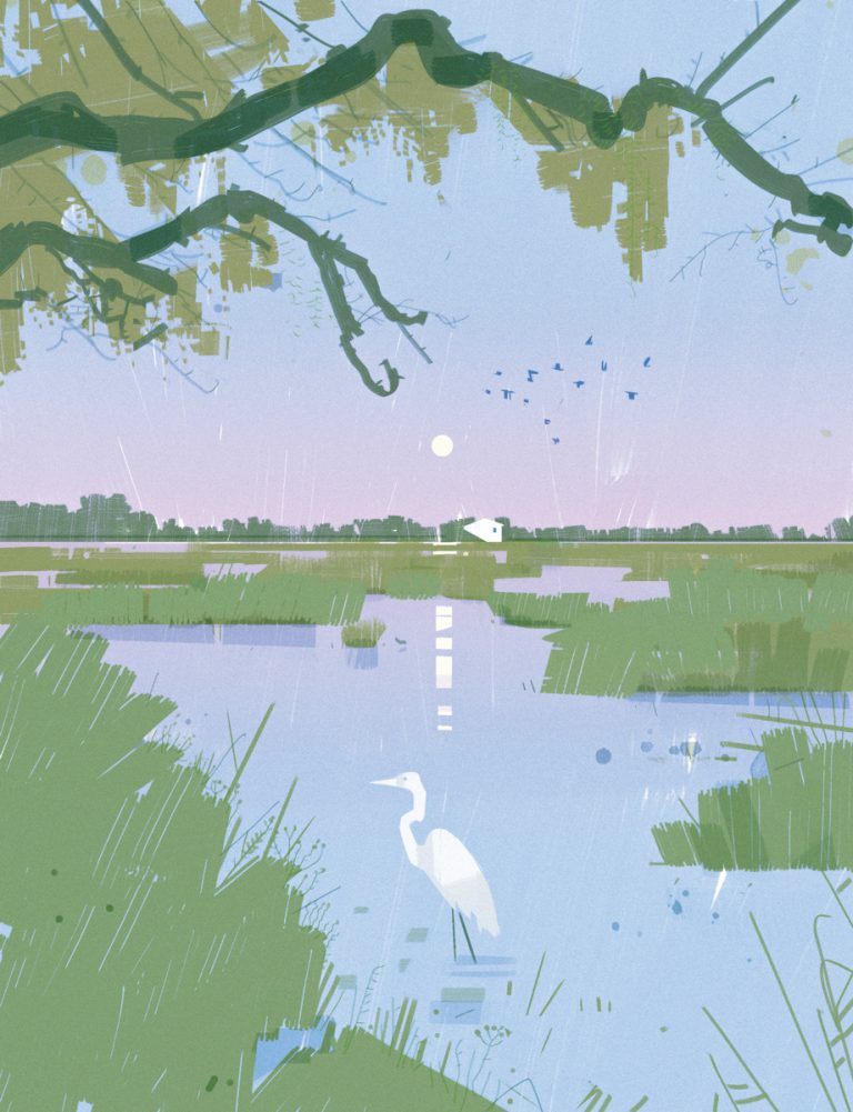 A writer returns to Pawleys Island in search of a way to begin life anew