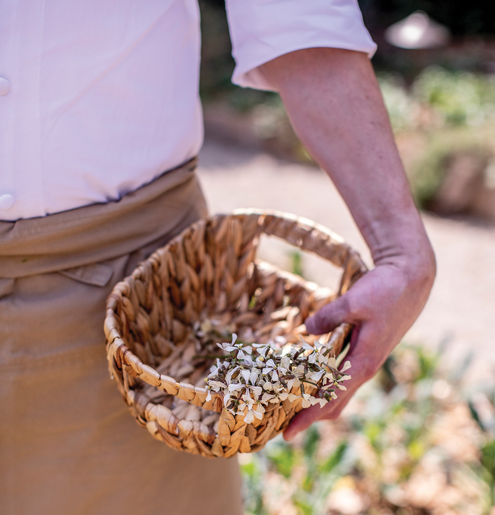 a hand holding a woven basket