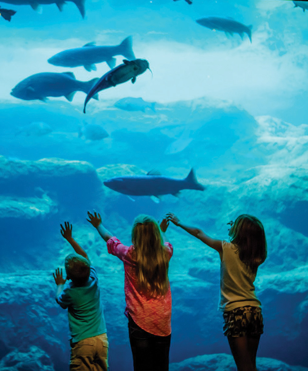 Flint RiverQuarium