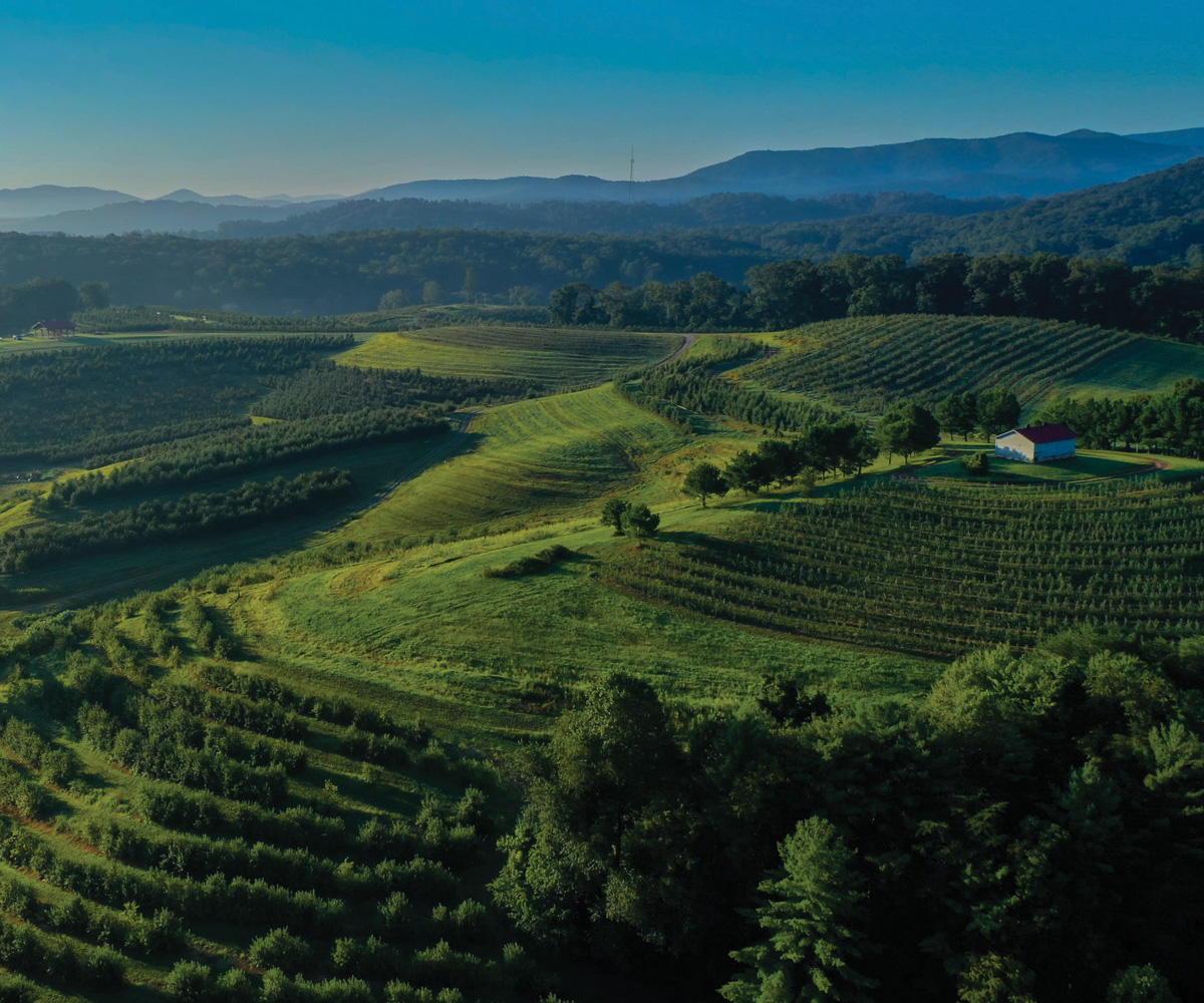 an aerial view of mountains