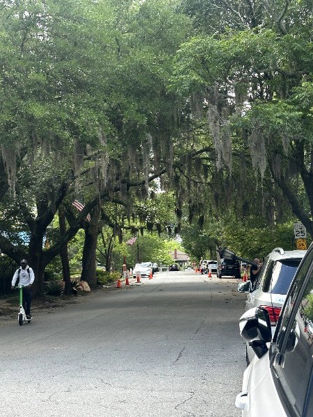 How Cape Fear turned Atlanta into Savannah