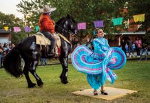 Día de Muertos Celebration with dancers and horse riding