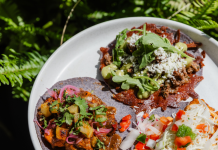 Amasa Mexican Kitchen builds on sister restaurant Chichería’s masa-driven menu