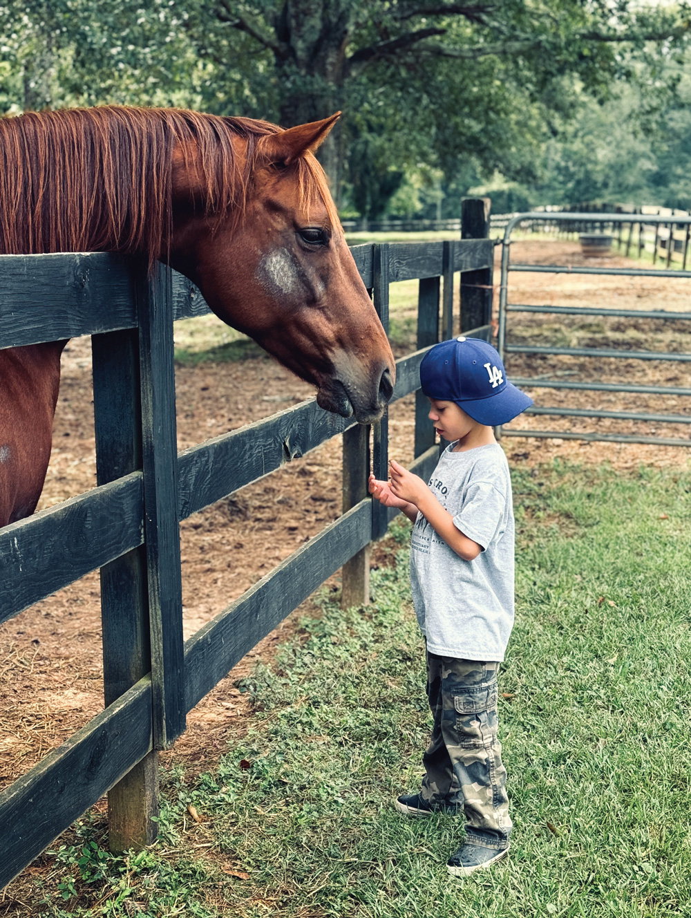Baby, a therapy horse, gets some love from Zorro’s Crossing neighbor Dru, 8