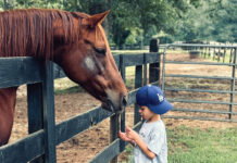 The healing power of horses: Equine therapy is transforming lives at Zorro’s Crossing Baby, a therapy horse, gets some love from Zorro’s Crossing neighbor Dru, 8