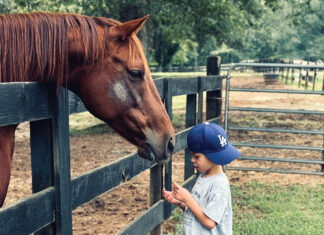 Baby, a therapy horse, gets some love from Zorro’s Crossing neighbor Dru, 8