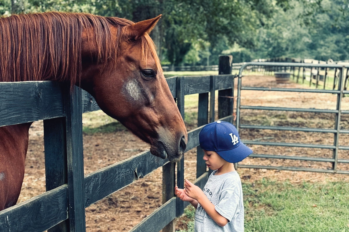 The healing power of horses: Equine therapy is transforming lives at Zorro’s Crossing