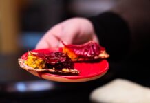 Tyler Williams announces his fine dining pop-up series Boujetto